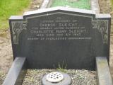 image of grave number 238290